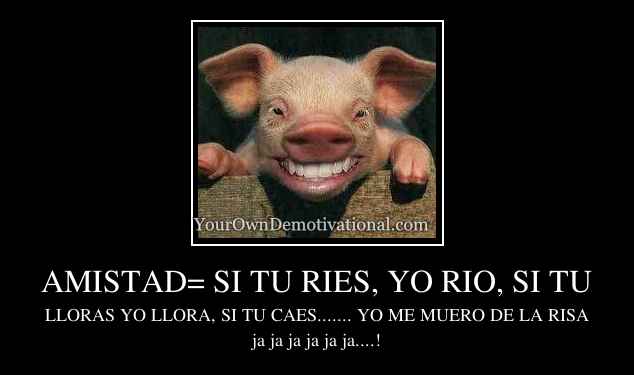 AMISTAD= SI TU RIES, YO RIO, SI TU