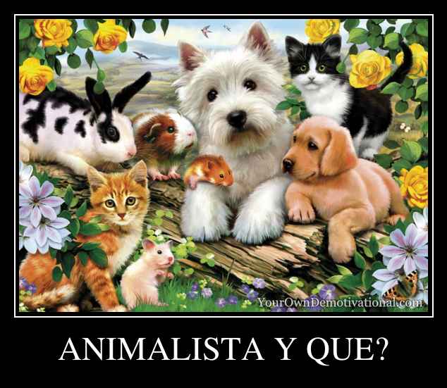 ANIMALISTA Y QUE?