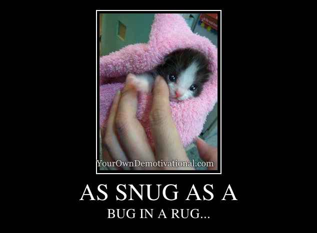 AS SNUG AS A