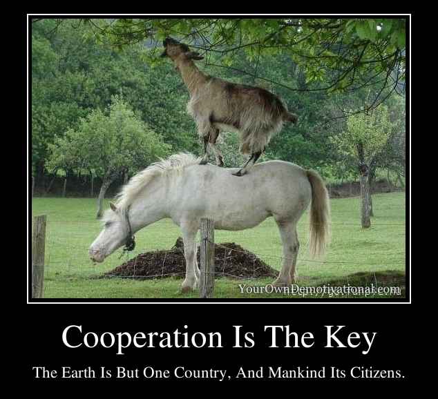 Cooperation Is The Key