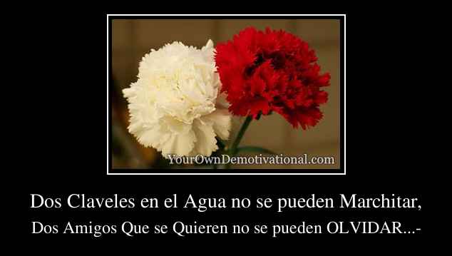 Dos Claveles en el Agua no se pueden Marchitar,