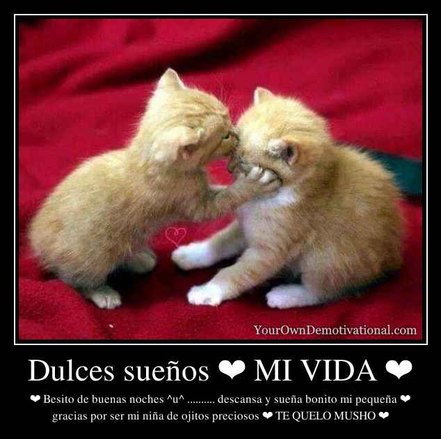 Dulces sueños ❤ MI VIDA ❤