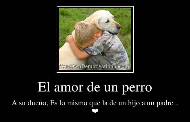 El amor de un perro