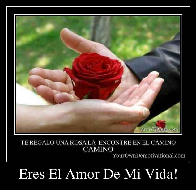 Eres El Amor De Mi Vida!