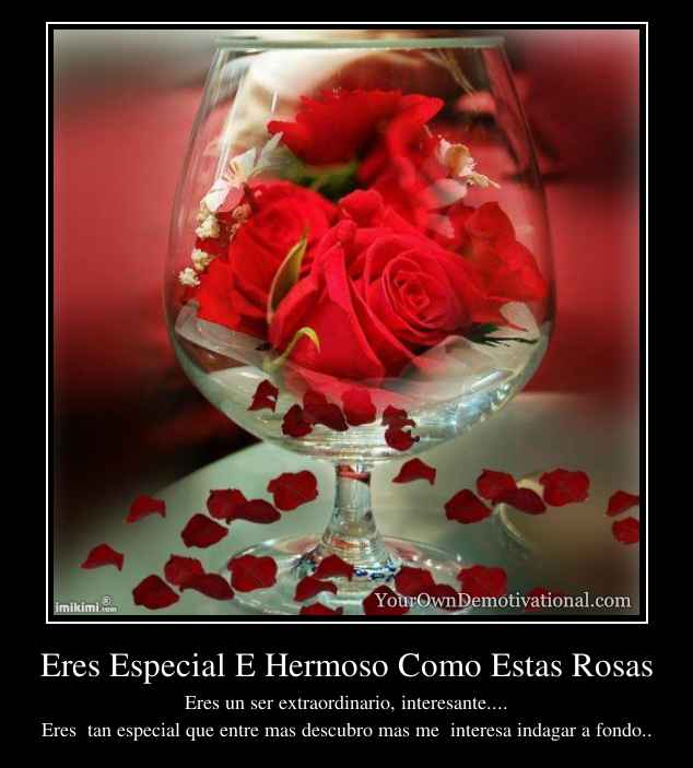 Eres Especial E Hermoso Como Estas Rosas