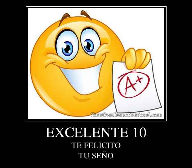 EXCELENTE 10