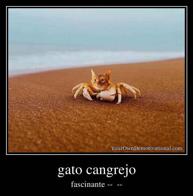 gato cangrejo