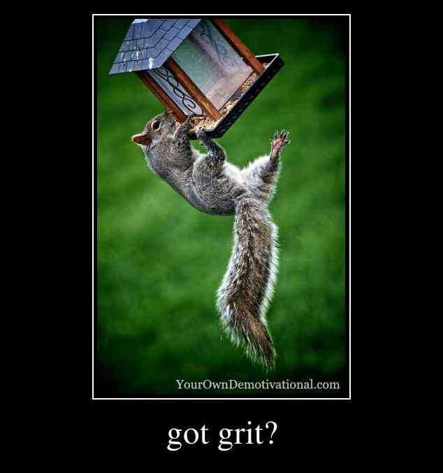 got grit?