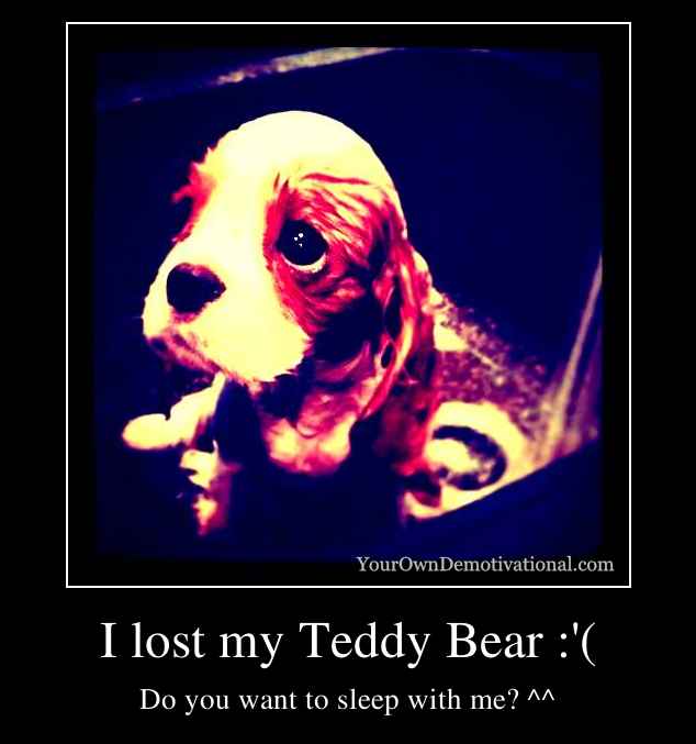I lost my Teddy Bear :'(