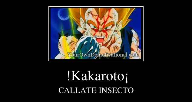 !Kakaroto¡