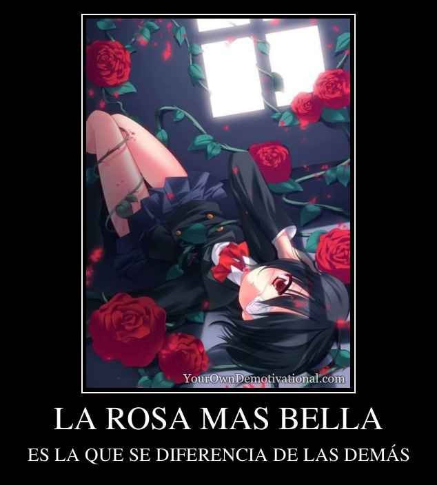 LA ROSA MAS BELLA