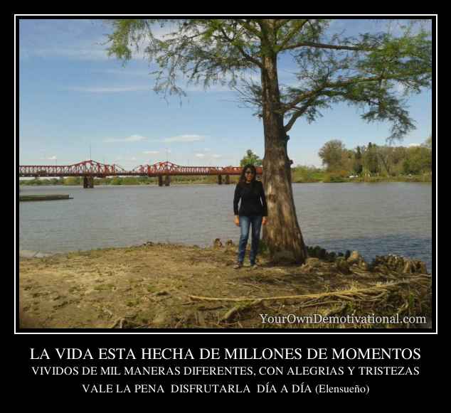 LA VIDA ESTA HECHA DE MILLONES DE MOMENTOS