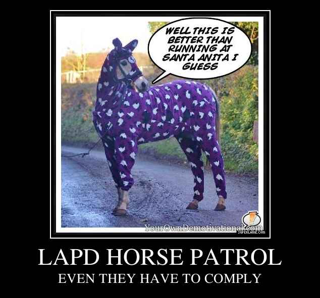 LAPD HORSE PATROL