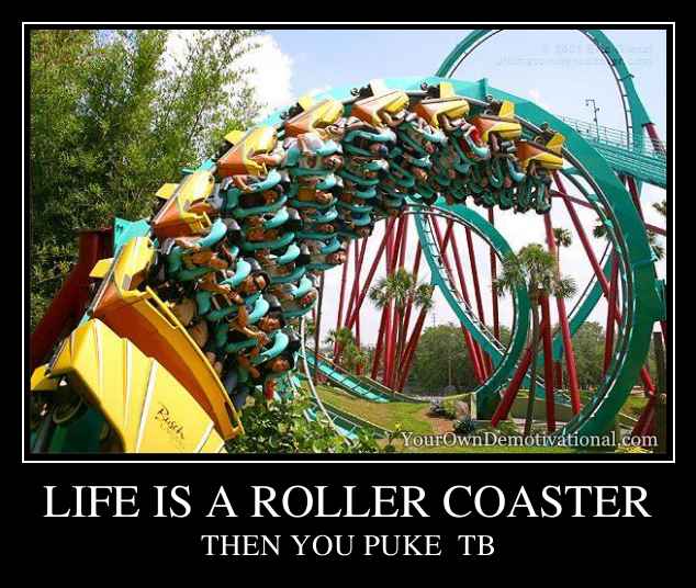 LIFE IS A ROLLER COASTER