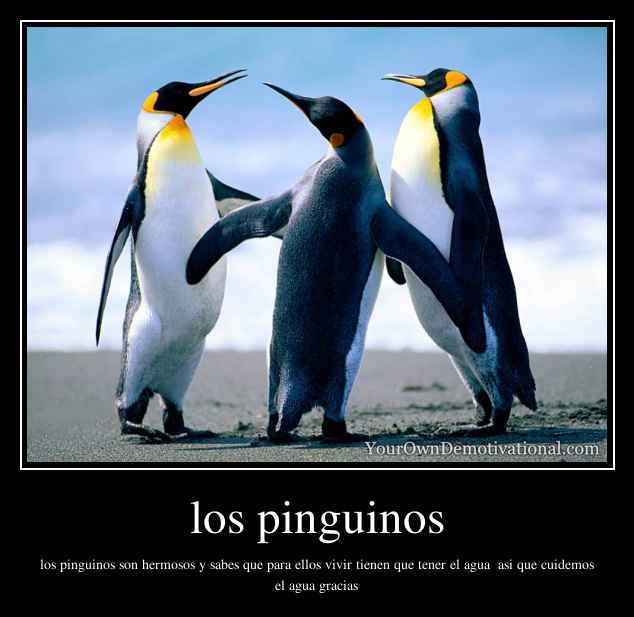 los pinguinos