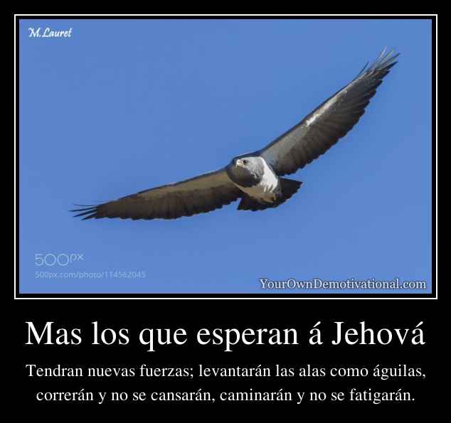 Mas los que esperan á Jehová