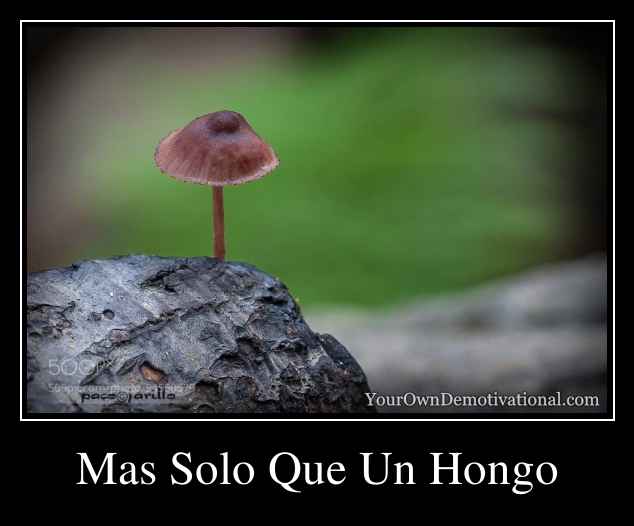 Mas Solo Que Un Hongo