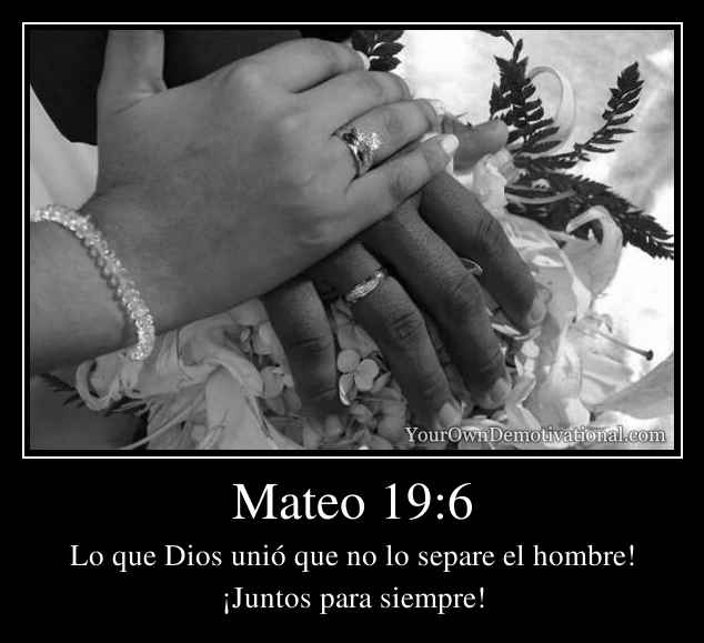 Mateo 19:6