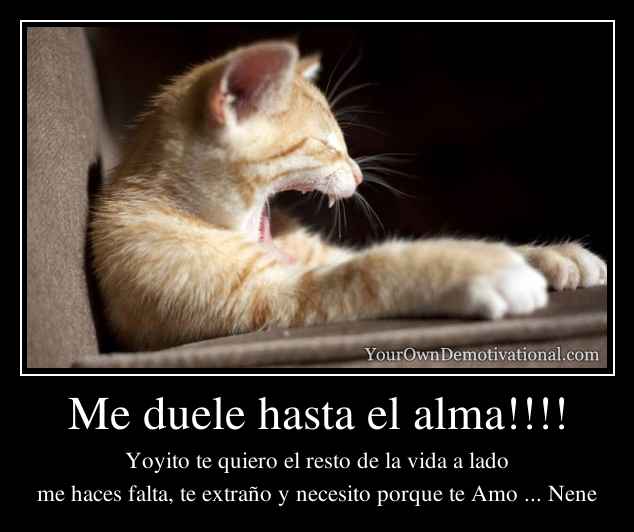 Me duele hasta el alma!!!!