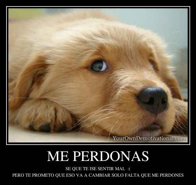 ME PERDONAS