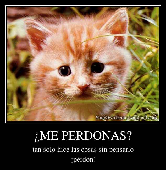 ¿ME PERDONAS?