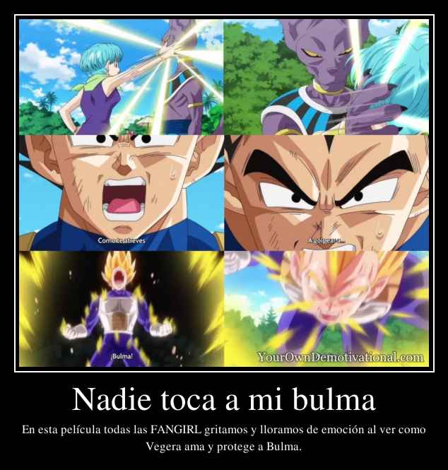 Nadie toca a mi bulma