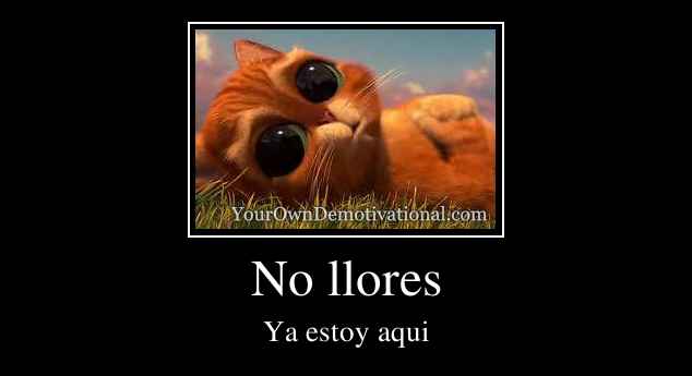 No llores