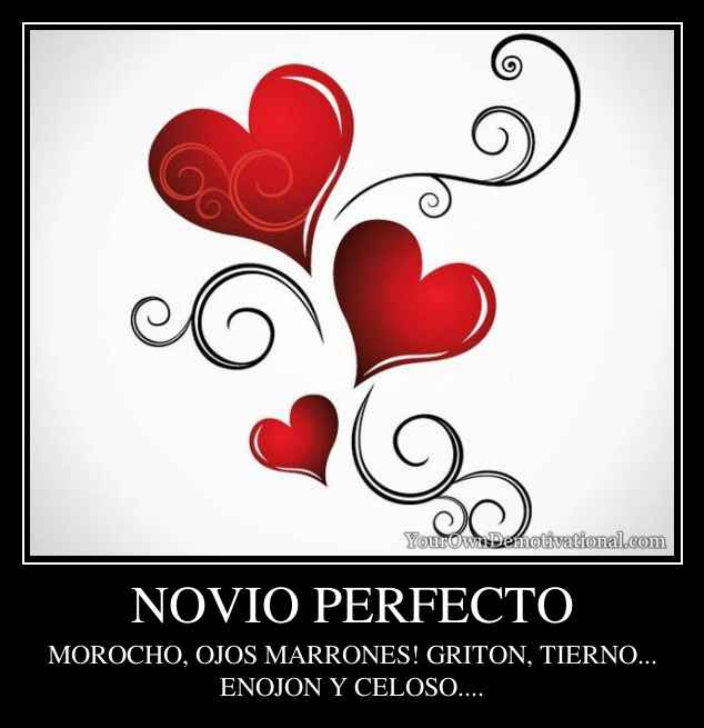 NOVIO PERFECTO