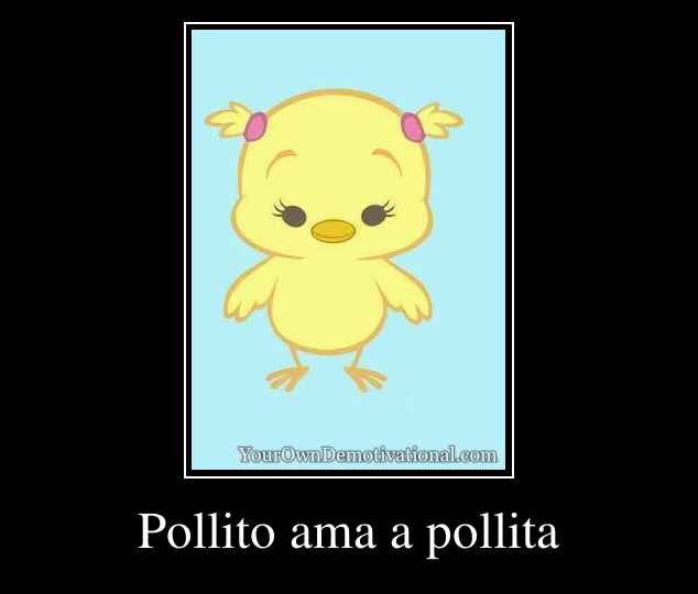 Pollito ama a pollita