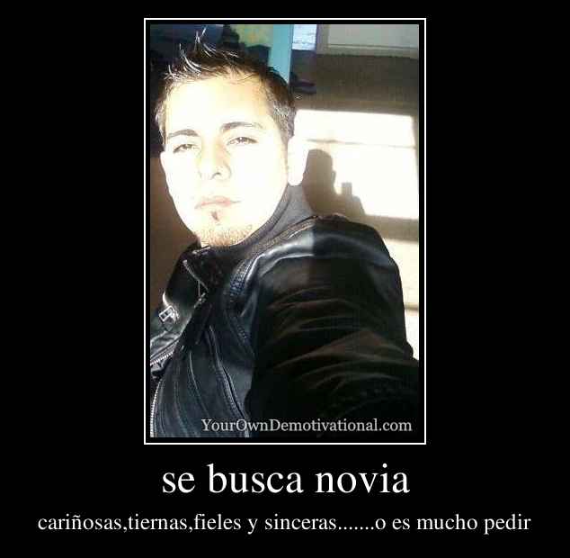 se busca novia