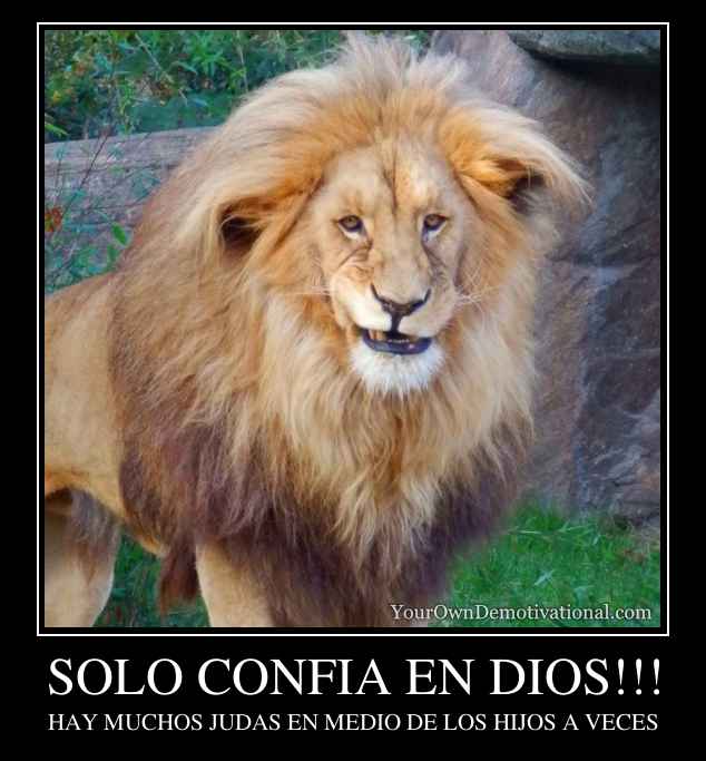 SOLO CONFIA EN DIOS!!!