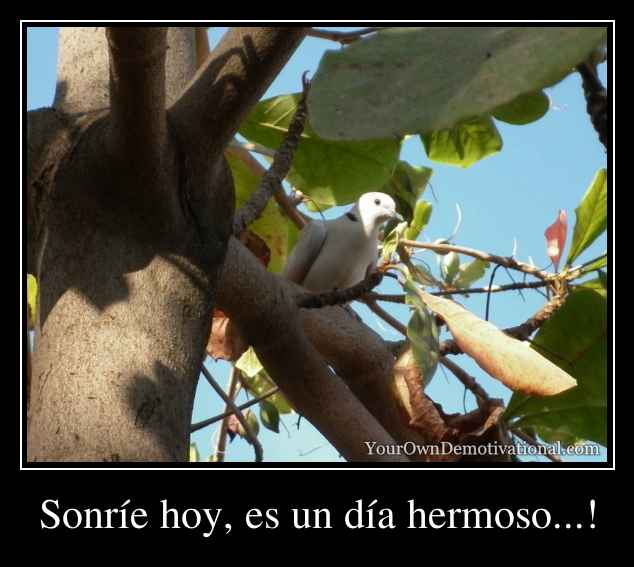 Sonríe hoy, es un día hermoso...!