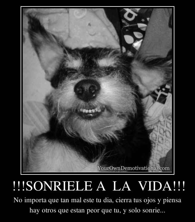 !!!SONRIELE A  LA  VIDA!!!