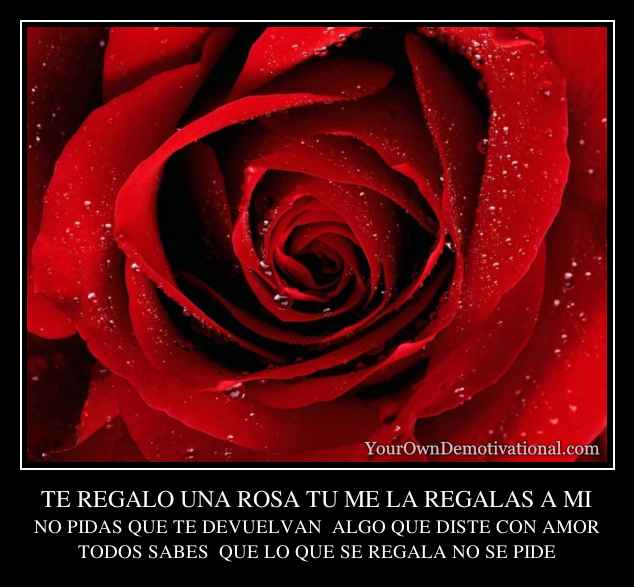 TE REGALO UNA ROSA TU ME LA REGALAS A MI