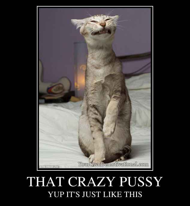 THAT CRAZY PUSSY