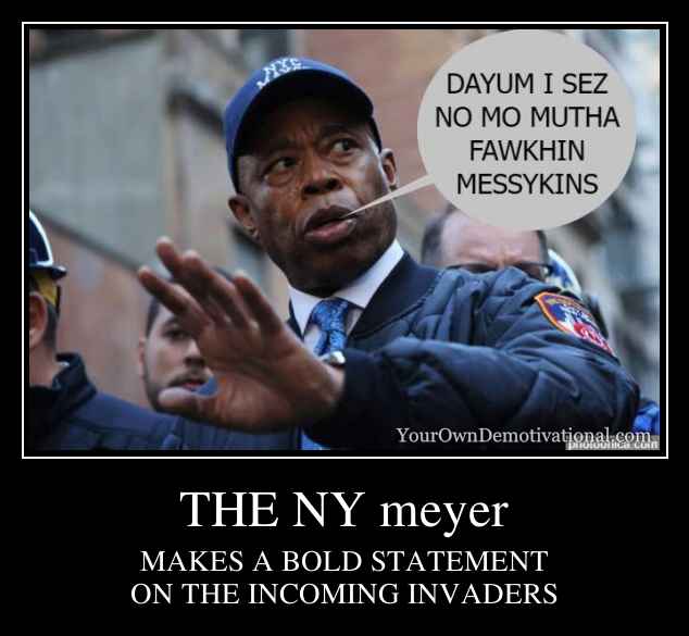 THE NY meyer