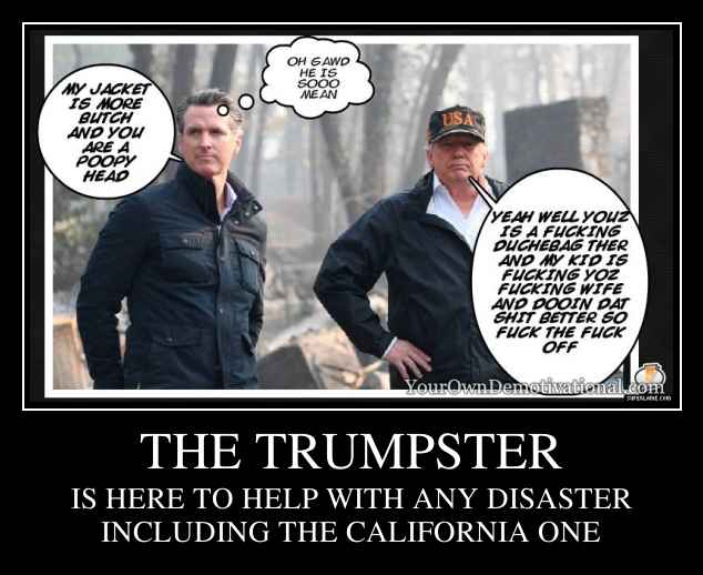 THE TRUMPSTER