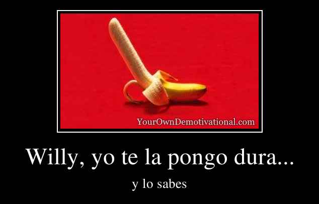 Willy, yo te la pongo dura...