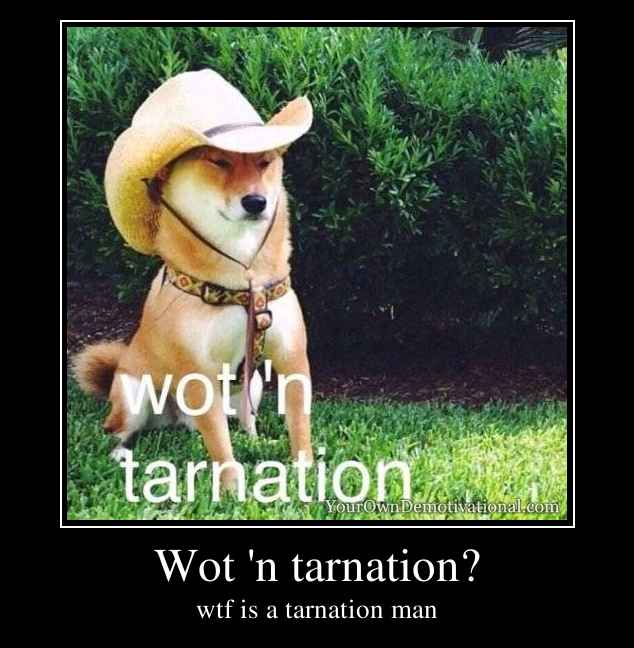 Wot 'n tarnation?